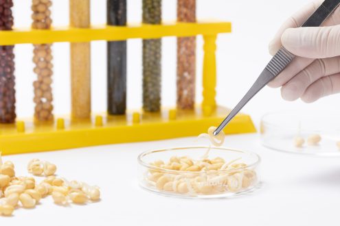 Advanced Recombinant Protein Production & Cloning