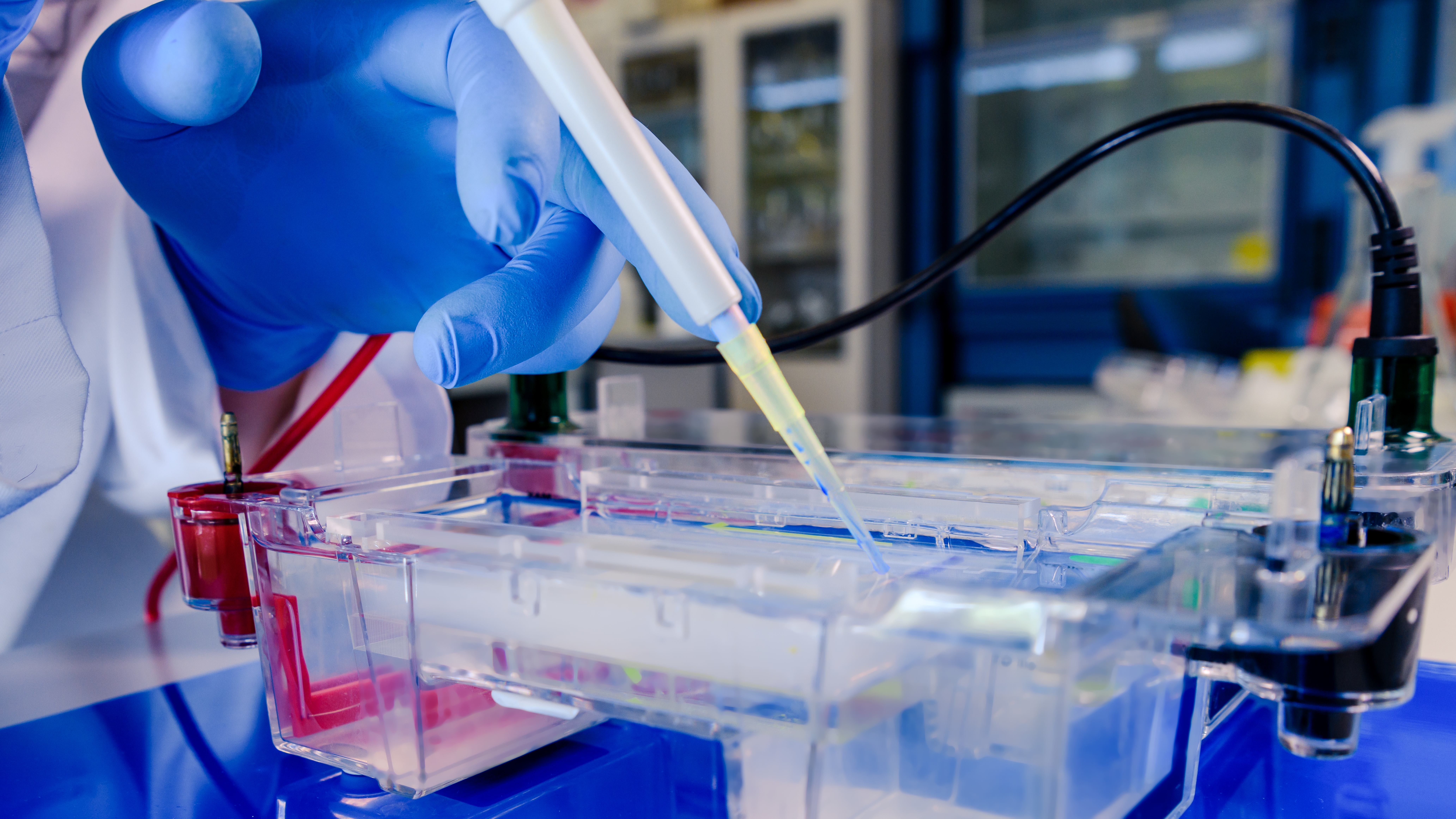 Advanced Cell Culture, Antibody Engineering & Bioprocessing